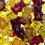 GoBio! Organic Vegan Gummi Bears